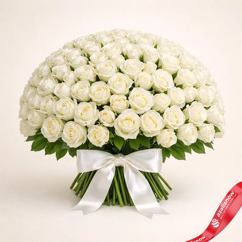 Букет из 201 белой розы с лентой