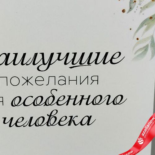 Фото 3: Открытка «Наилучшие пожелания для особенного человека», 10х14 см