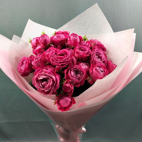 Показать все изображения