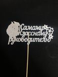 Фото флориста 1: Топпер «Самому Классному Руководителю», белый, 30×12×0,25 см