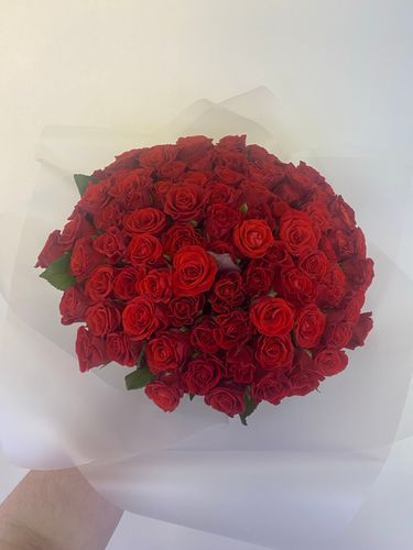 Показать все изображения
