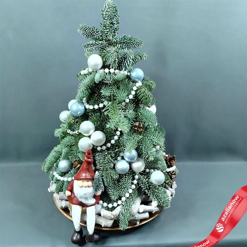 Фото 2: Новогодняя композиция «Ёлка (пихта) с Дедом Морозом», D 35 см x H 65 см