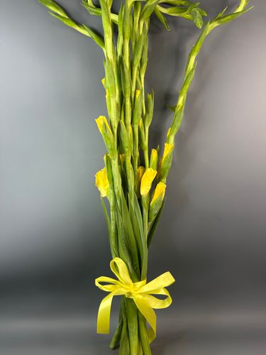 Фото флориста 1: Гладиолусы