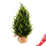 Маленькое фото 1: Ель искусственная в кашпо, Н45х25х25см, зеленый