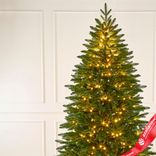 Маленькое фото 2: Ель искусственная с лампочками «Cамарская» (PE), 2,4м, зеленый