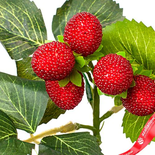 Фото 5: Ветка малины, 28см, красный