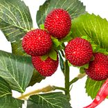 Маленькое фото 5: Ветка малины, 28см, красный