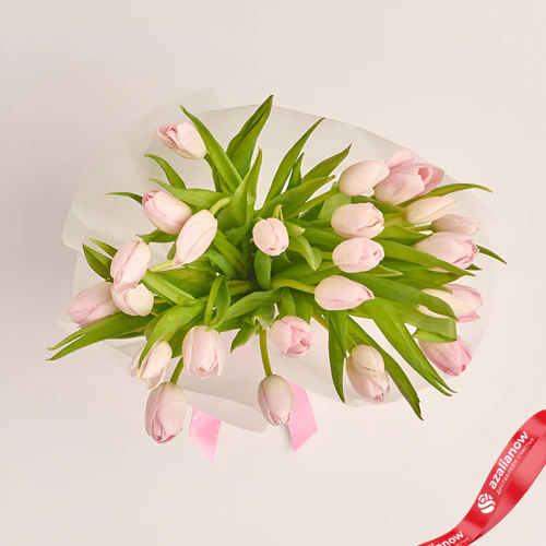 Фото 2: Букет из 25 светло-розовых тюльпанов в прозрачной упаковке. Сервис доставки цветов AzaliaNow