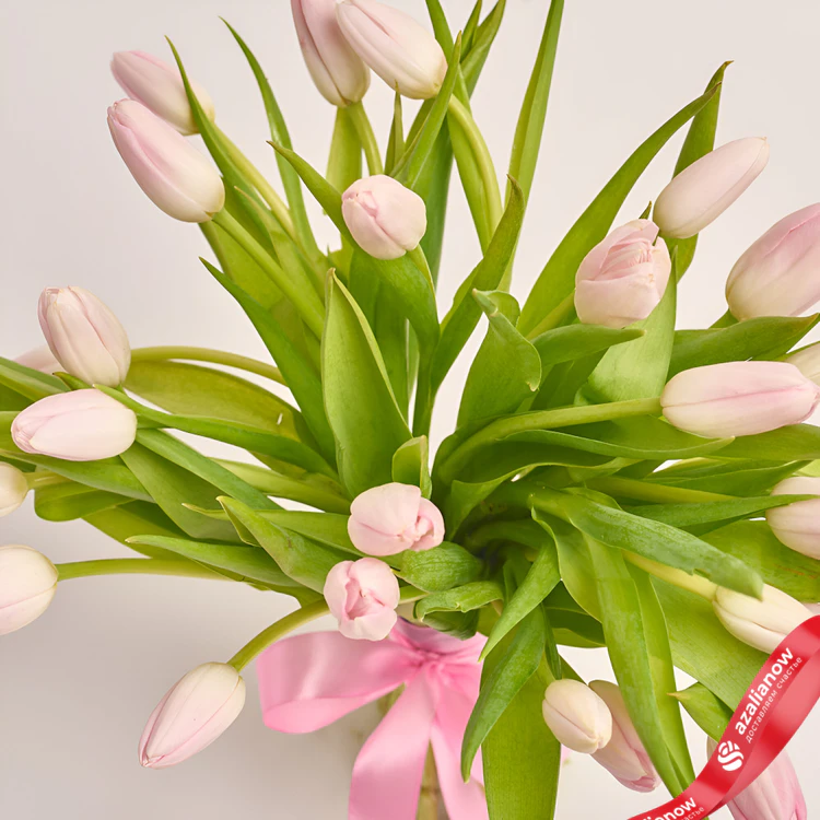 Фото 3: 25 светло-розовых тюльпанов, Россия. Сервис доставки цветов AzaliaNow