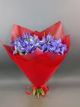 Фото флориста 2: Букет из 15 синих ирисов в красной пленке