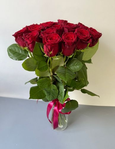 Показать все изображения