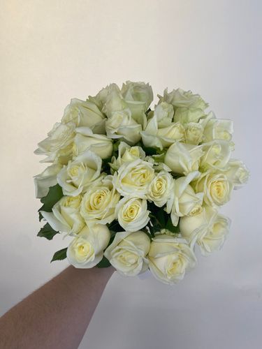 Показать все изображения