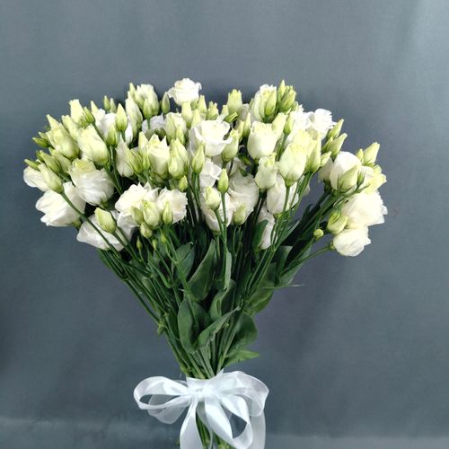 Фото флориста 1: Эустомы (лизиантусы)