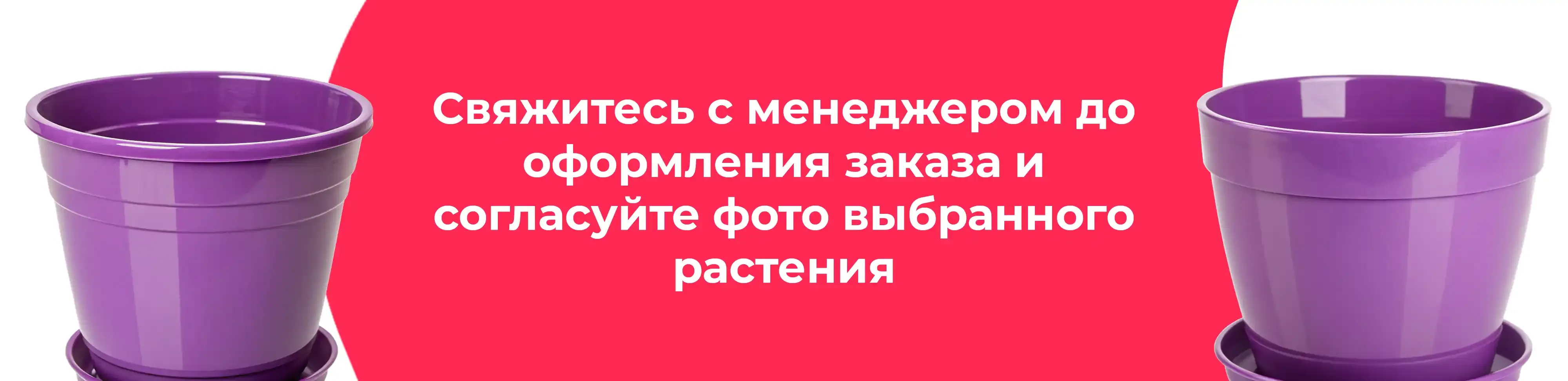 Баннер для рубрики: Фиолетовые горшки для цветов