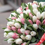 Маленькое фото 2: Роскошная пастель: 50 бело-розовых тюльпанов с фисташкой. Сервис доставки цветов AzaliaNow