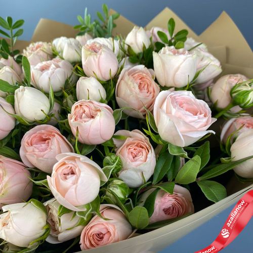 Фото 4: Букет из 15 розовых пионовидных роз в пленке с атласной лентой