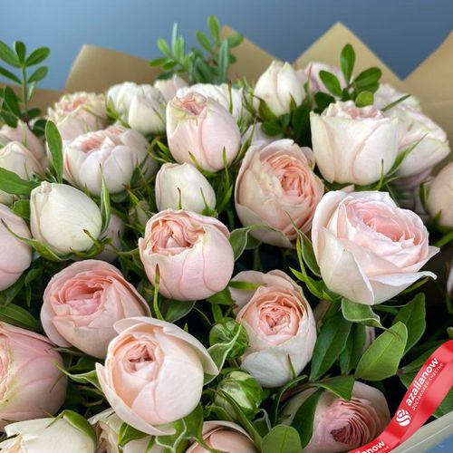 Фото 5: Букет из 15 розовых пионовидных роз в пленке с атласной лентой