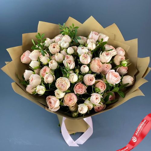 Фото 2: Букет из 15 розовых пионовидных роз в пленке с атласной лентой