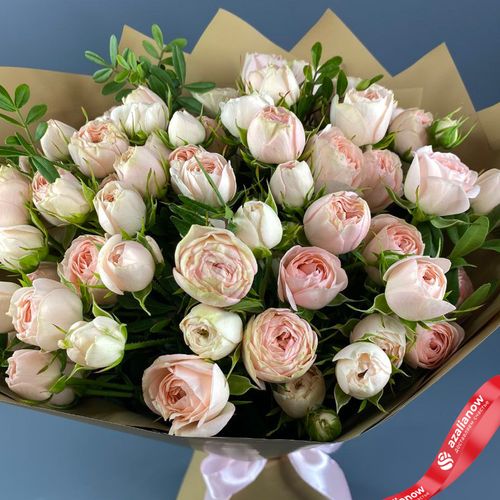 Фото 3: Букет из 15 розовых пионовидных роз в пленке с атласной лентой