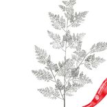 Маленькое фото 2: Ветка с глиттером, H84 см, серебряный