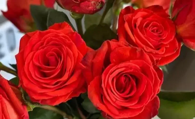 Букет с доставкой Щелково
