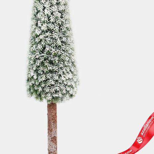 Фото 3: Ель искусственная заснеженная в кашпо, Н97х19х19см, зеленый/белый