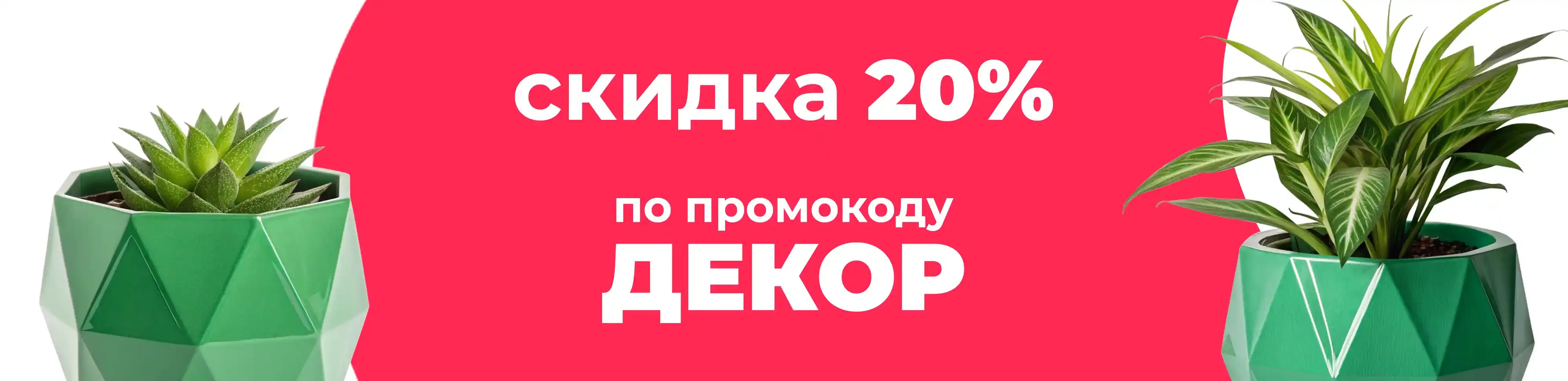 Баннер для рубрики: Кашпо для рассады
