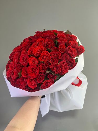 Показать все изображения