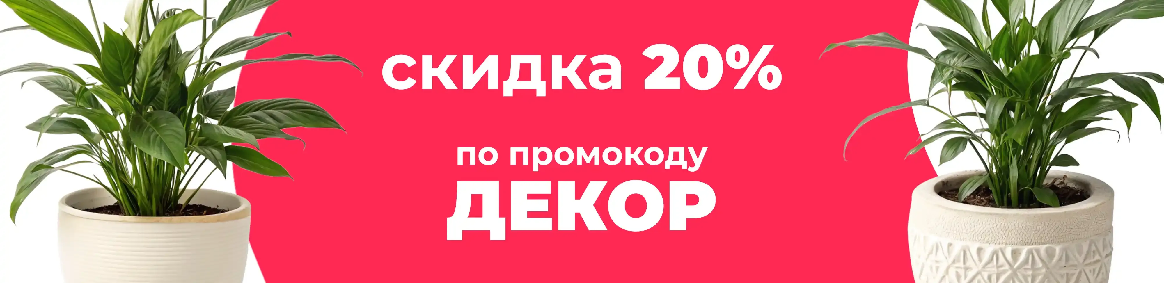 Баннер для рубрики: Горшки для спатифиллумов