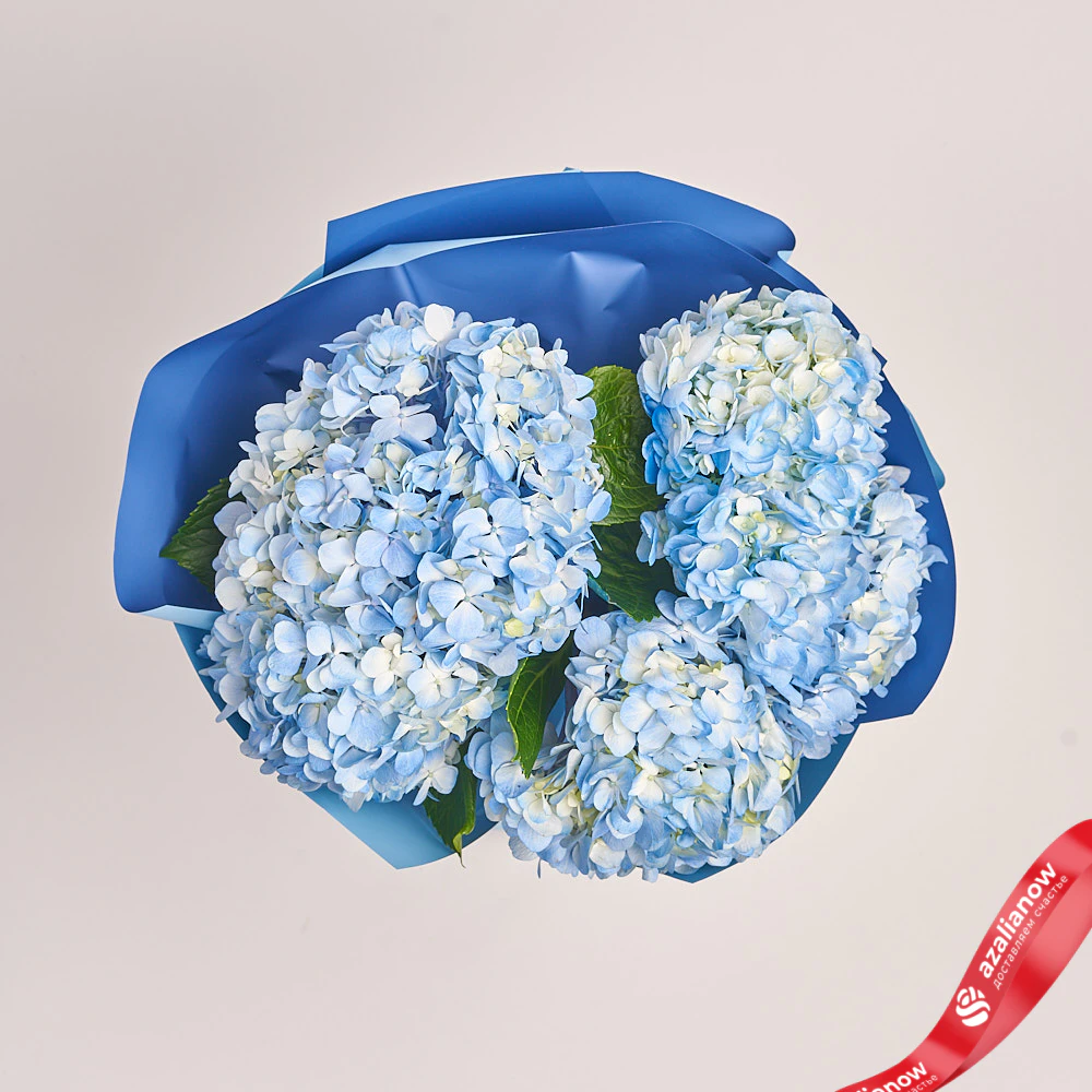 Фото 1: Букет из 5 голубых гортензий «Небо из 5 гортензий». Сервис доставки цветов AzaliaNow