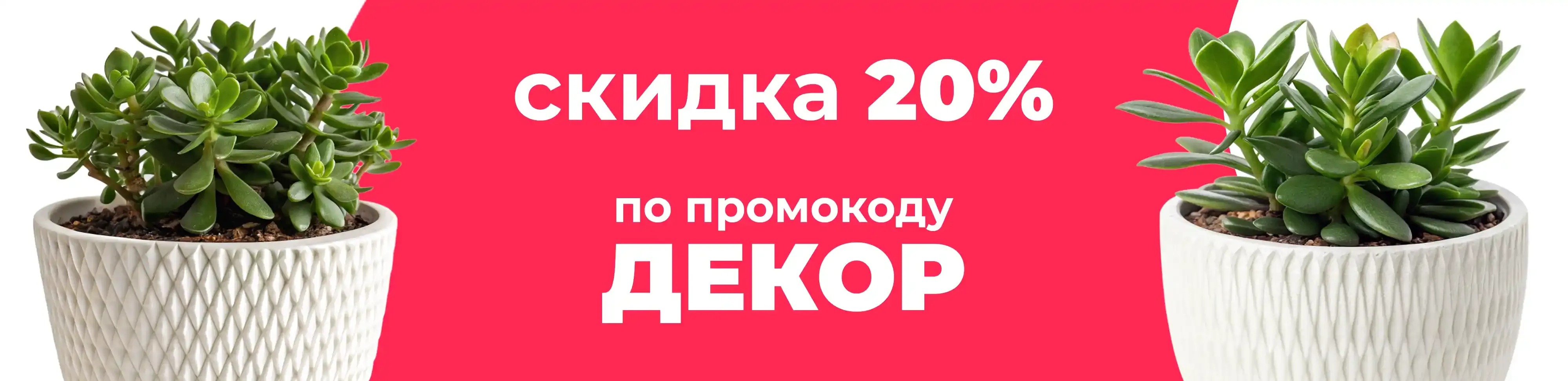 Баннер для рубрики: Горшки для крассулы
