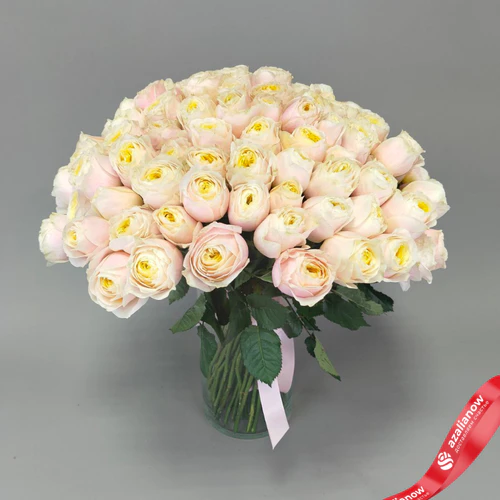 Букет из 101 нежно‑розовой пионовидной розы Эквадор, оформленный под ленту, 50 см