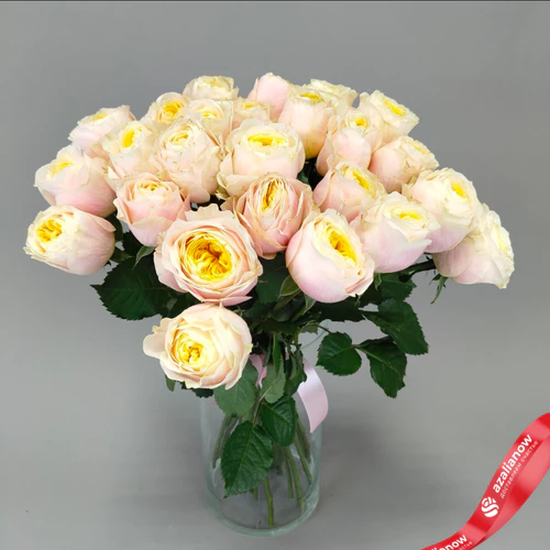 Букет из 25 нежно‑розовых пионовидных роз Эквадор, оформленный под ленту, 50 см