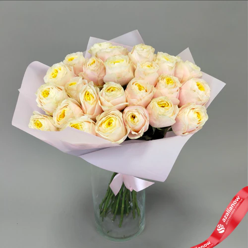 Букет из 25 пионовидных роз Эквадор в розовой упаковке, 50 см