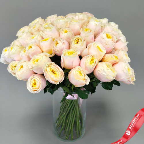 Букет из 51 нежно‑розовой пионовидной розы Эквадор, оформленный под ленту, 50 см