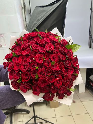 Показать все изображения