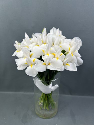 Фото флориста 2: Ирисы