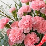 Маленькое фото 5: Букет из 25 розовых гвоздик в корзине с эвкалиптом. Сервис доставки цветов AzaliaNow