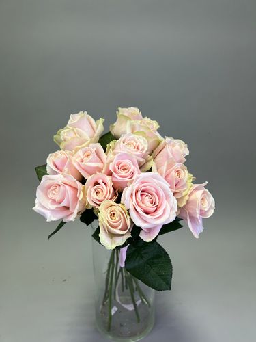 Показать все изображения