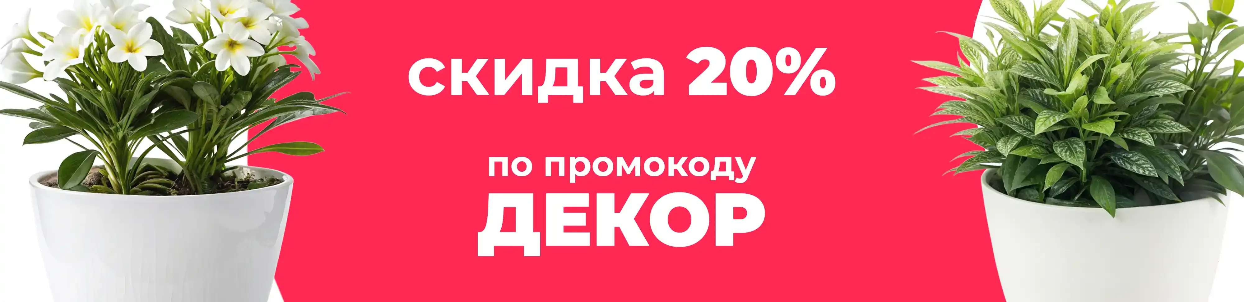 Баннер для рубрики: Горшки для домашних цветов