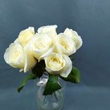 Фото флориста 1: Букет из 7 белых роз с лентой, 40 см