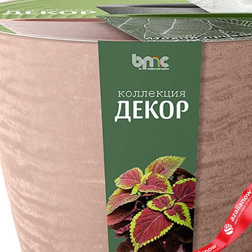 Фото 5: Кашпо со вставкой «Кашемир» (пластик), 19,5x12xH16,5см, 3л, коричневый