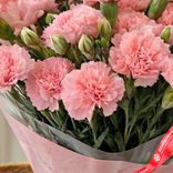 Маленькое фото 5: Букет из 25 розовых гвоздик в пленке
