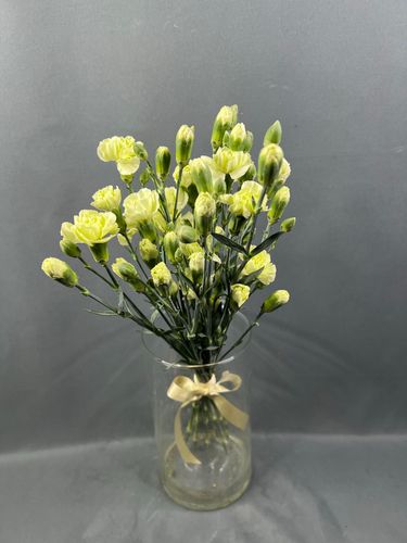 Фото флориста 2: Гвоздики