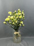 Фото флориста 1: Букет из 10 гвоздик желтых, Диантус, Голландия