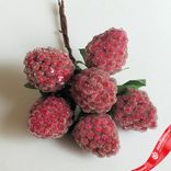 Маленькое фото 2: Набор малины засахаренной на вставках 10шт., D2,2x3xL11см, малиновый