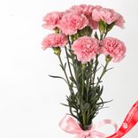 Маленькое фото 2: Букет из 9 розовых гвоздик с лентой. Сервис доставки цветов AzaliaNow