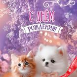 Маленькое фото 3: Открытка «С Днем Рождения (милые питомцы)», 12,2×18,2 см