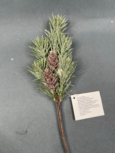 Фото флориста 1: Ветки с шишками