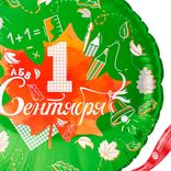 Маленькое фото 3: Шар с гелием «Круг - 1 Сентября (кленовый лист)», зеленый, 46 см
